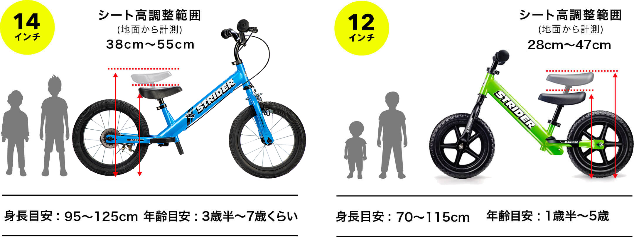 キッズ自転車ストライダー×神山隆二 モデルが登場